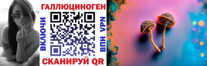 Псилоцибиновые грибы Psilocybine cubensis Сухиничи